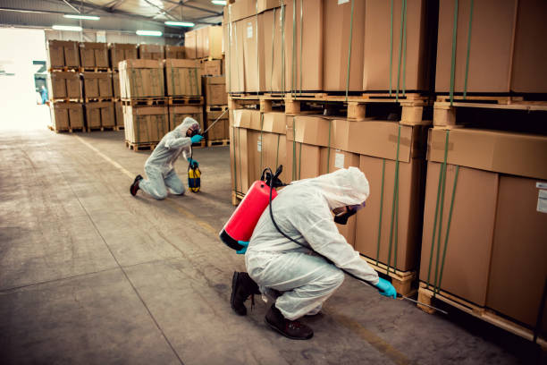 Flea Control Services in Munday, TX
