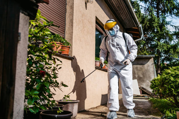 Best Exterminator Services  in Munday, TX