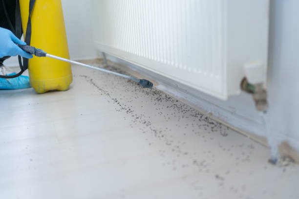 Best Residential Pest Control  in Munday, TX