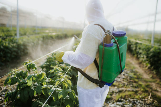 Best Wasp Removal Services  in Munday, TX